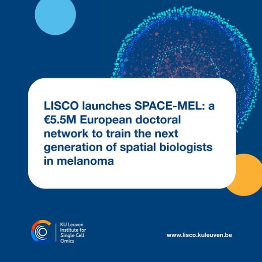 Announcement card: LISCO launches SPACE-MEL, a €5.5M European doctoral network to train spatial biologists in melanoma, from the KU Leuven Institute for Single Cell Omics.